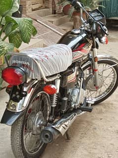 Honda 125 2024