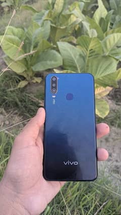 Vivo