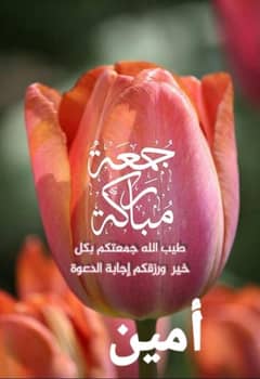 Gaher k Kam  ley full time female urgent chayie
