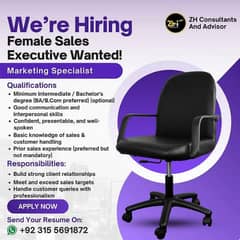 Sales Executive