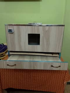 heavy duty Chick brooder 50-75 chick capacity