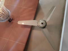 Ceiling Fan