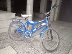 Hamper Bicycle