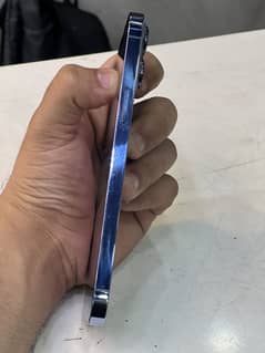 13promax nonpta