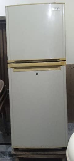 Middle size fridge
