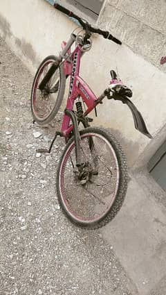 Cycle