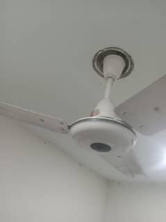 10 / 10 condition fans gfc reginal