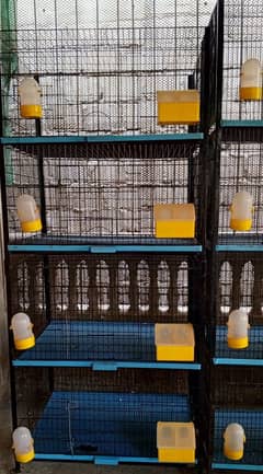 cage's available