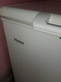 Haier d freezer