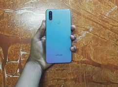 Vivo