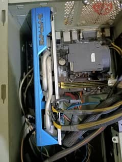 RX590 GME Lush Condition
