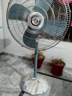 Pedestal Fans have in brand new condition used only little