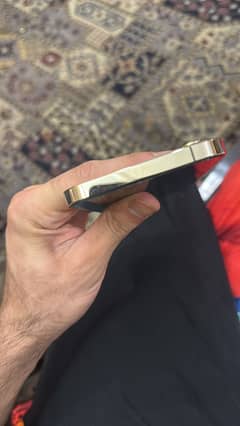 12 pro max 512 gb