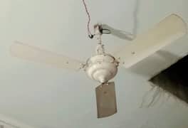 Ceiling Fan At very low price
