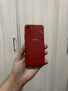 vivo