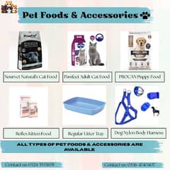 Pet Foods & Accessories