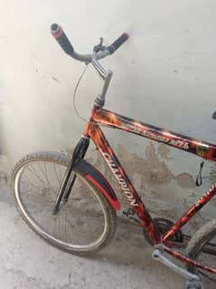 champion cycle for sale