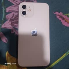 iPhone 12 256GB PTA Approved