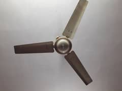 Royal Fans New Condition Less Use Just like new