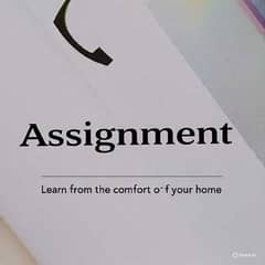assignmnent writer