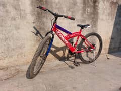 Sports Imported Bicycle Size 26"