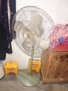 fanss