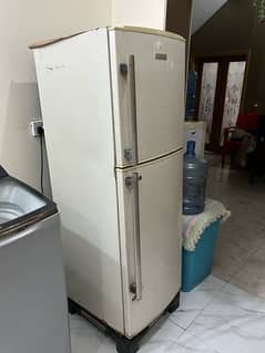 Electrolux