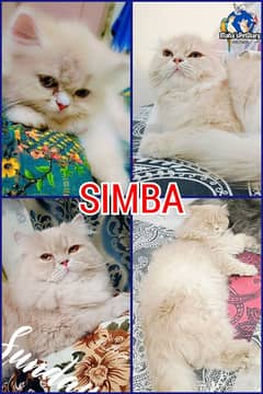 Simba