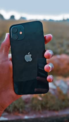 iPhone 12 JV