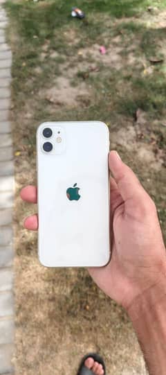 iPhone 11 Pta Approved