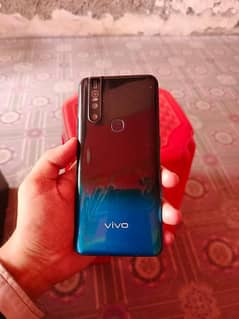 vivo