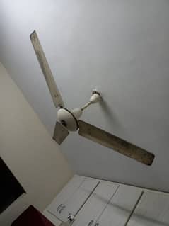 2 fans