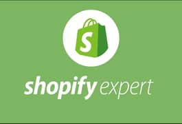 Shopify store + meta ads + tiktok ads