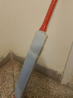 Bat