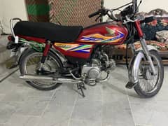 CD 70 2019/2020 model golden number 8282