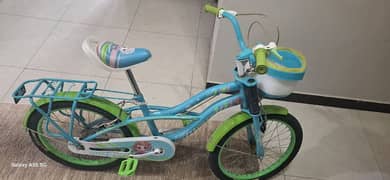 size 22 bicycle