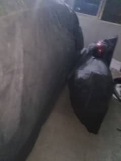 125 bike fully lush condition