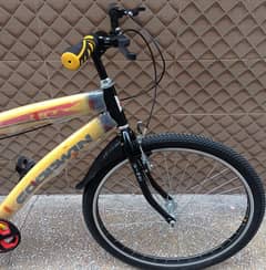 New Goodwin cycle