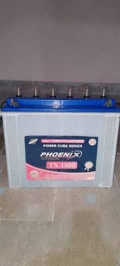 phoenix  TX 1800