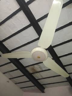 chat wala pankha for sale