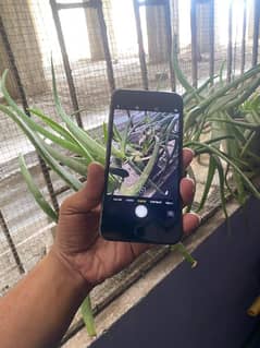 i phone 8 plus PTA approve 256 gb finger fail only for sale need cash