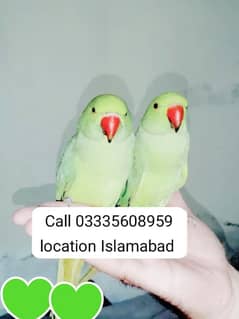 Pair