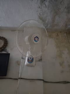 for sale