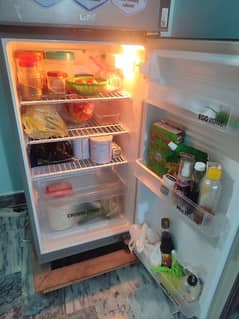 Keep It Fresh with PEL – The Smart Choice for Every Home