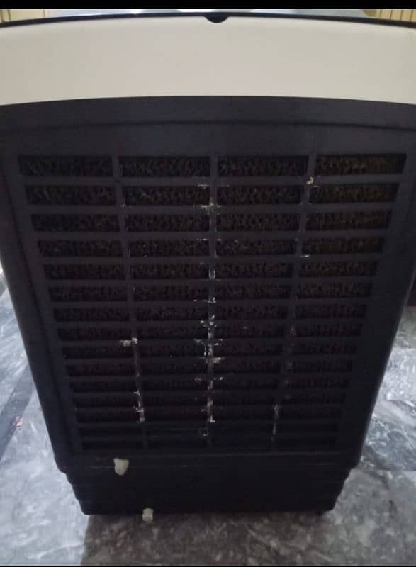 Full size cooler in use with ice boxes 0