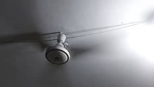 Younus Ceiling Fan for sale