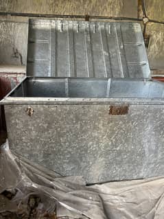 Trunk