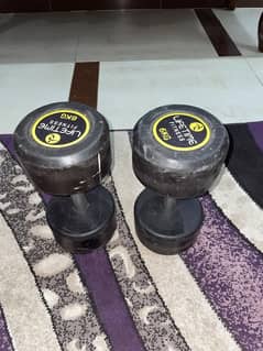 6kg Dumbbell pair