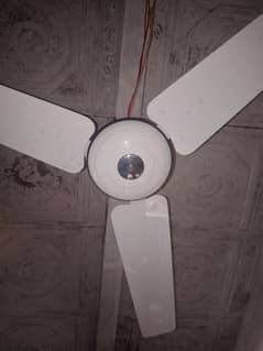 pak fan deluxe model copper winding 100%