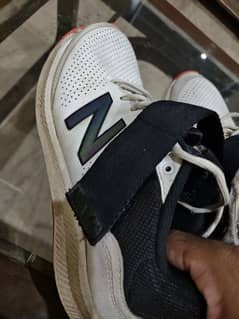 NB